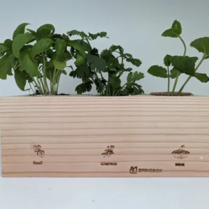 Restaurant Herb Starter Pack