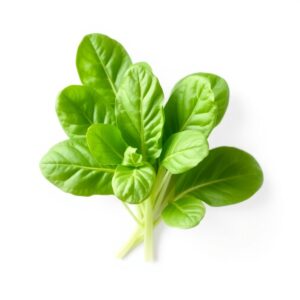 Organic Baby Spinach