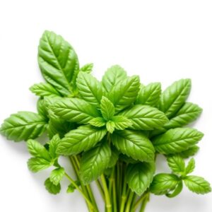 Pre-Cut Basil Pack