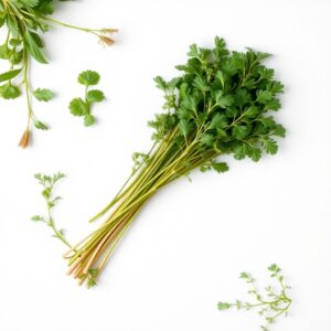 Pre-Cut Herb Catering Pack