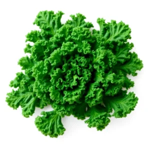 Curly Kale Bunch