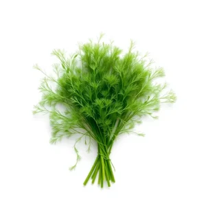 Fresh Dill Bunch