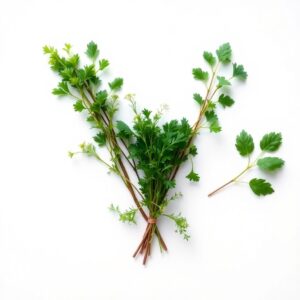 Garnish Herb Trio
